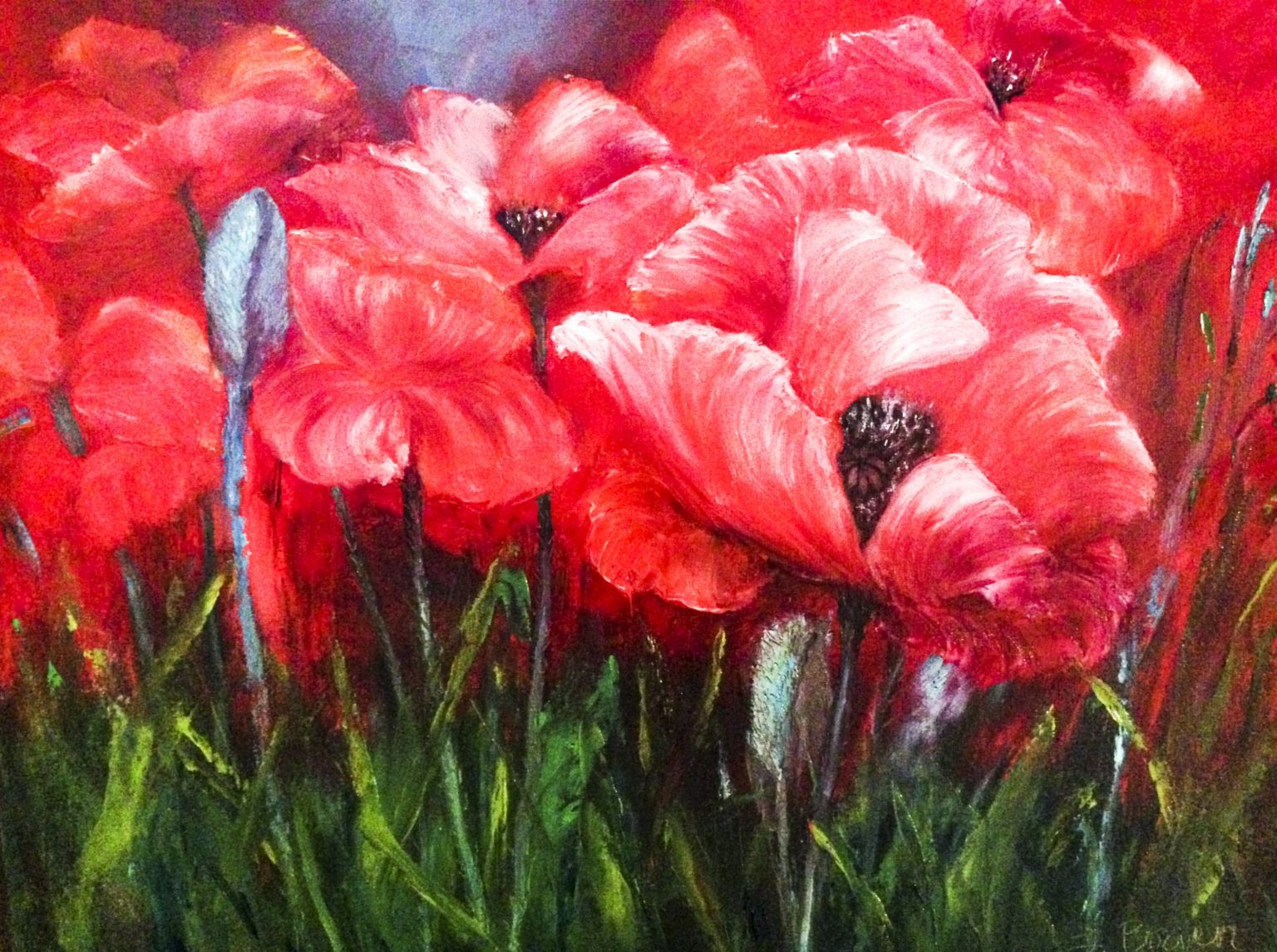 Giant Red Poppies – Bowen Artworks